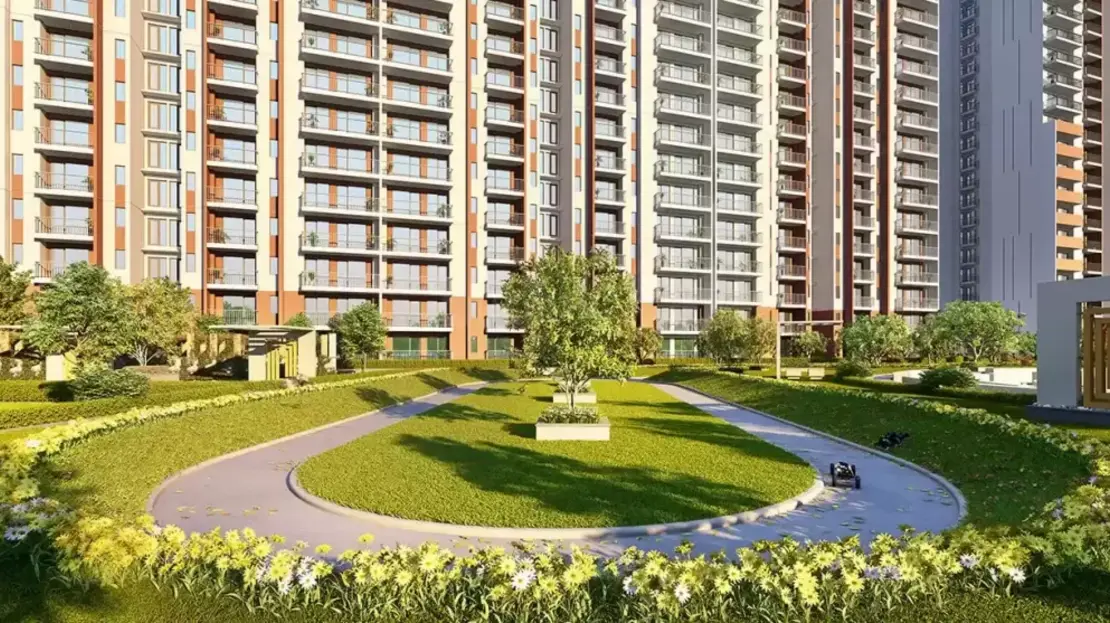 Tata Carnatica Image 2